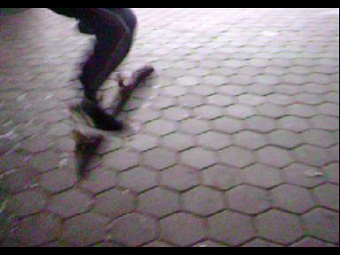 flip